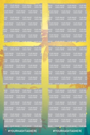 296_2x6-02