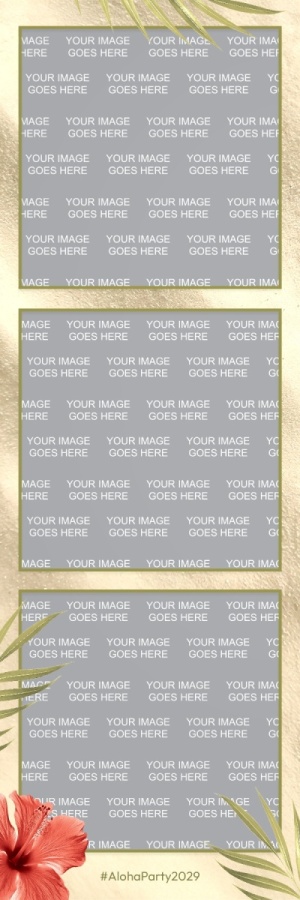 430_2x6-02-single