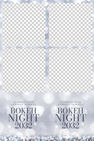441_2x6-01__2