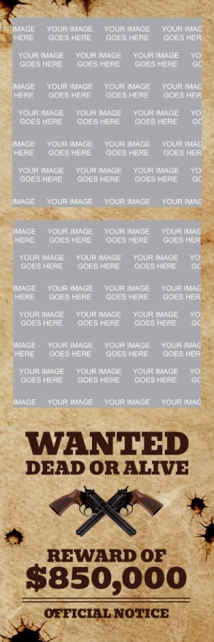 463_2x6-01