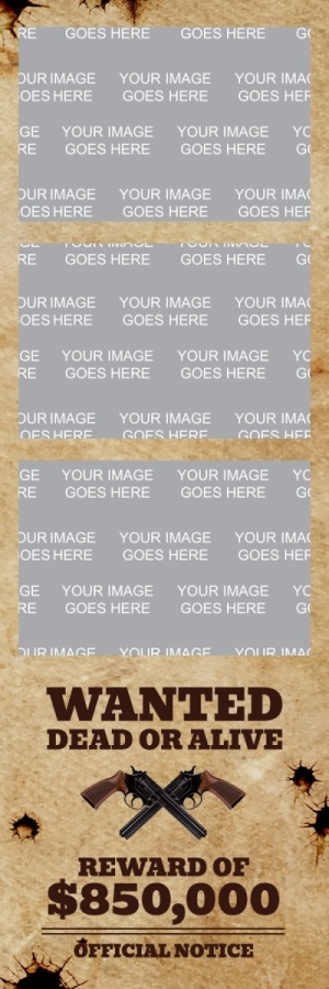 463_2x6-03