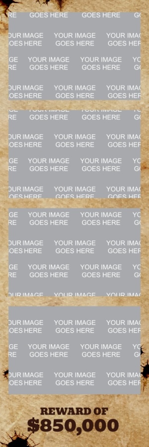 463_2x6-04
