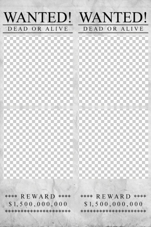 470_2x6-01__2