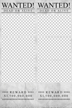 470_2x6-03__2