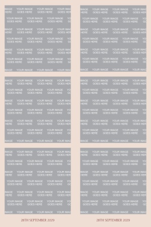 283_2x6-02
