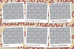 588_6x2-double-strip-01